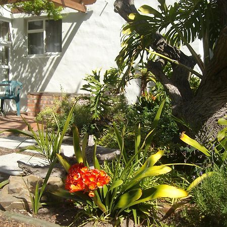 Be My Guest Lodge Bloubergstrand Quarto foto
